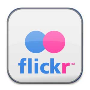 flickr logo